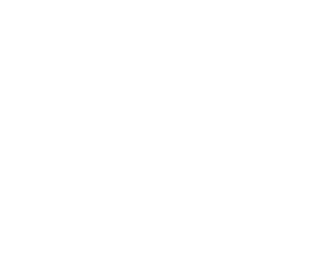 Logo Lokivet blanc